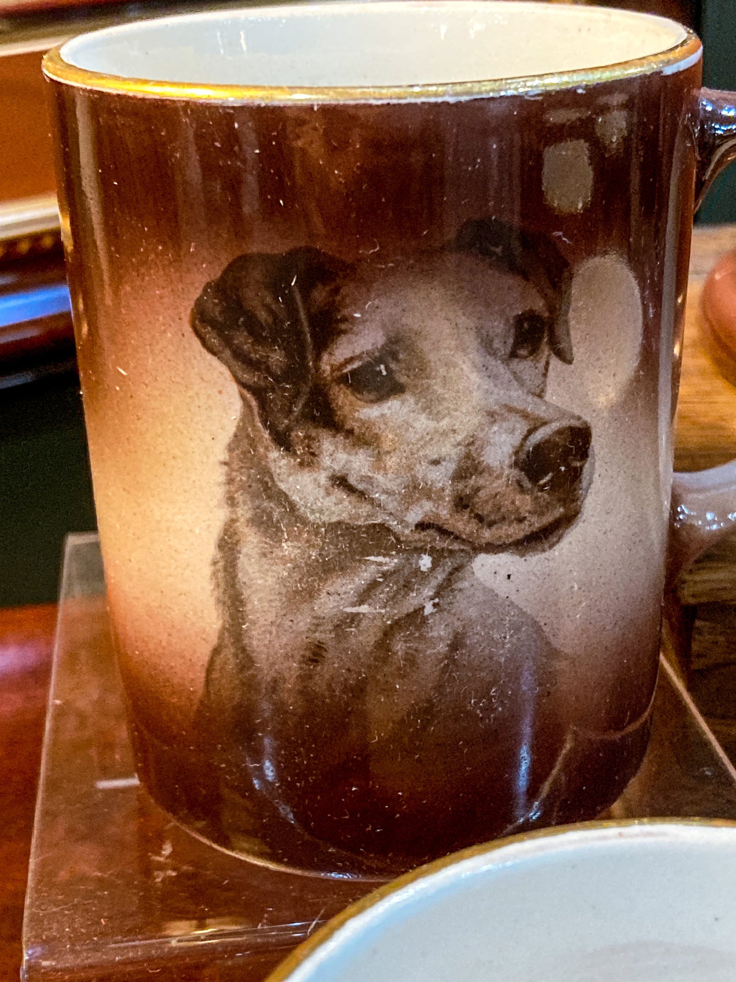 Antique Various Dog Portrait Dresden Transferware Six Mug Pitcher Cider Set